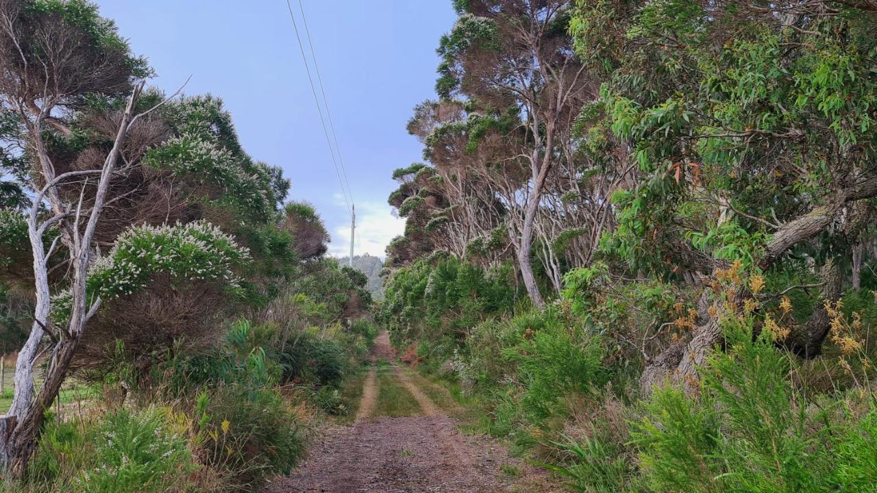 Cape Howe Cottages Lowlands ภายนอก รูปภาพ