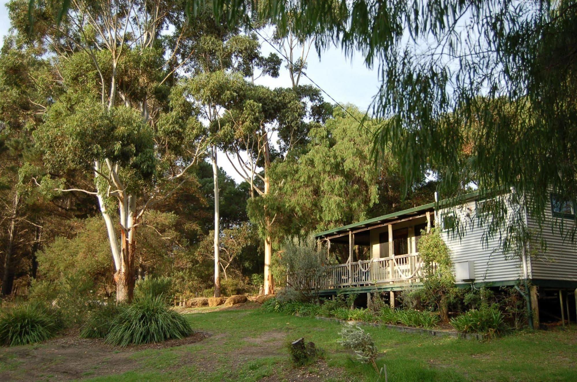 Cape Howe Cottages Lowlands ภายนอก รูปภาพ